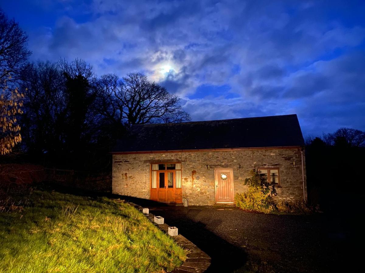 Cae'R Beili Villa Llandovery Exterior foto