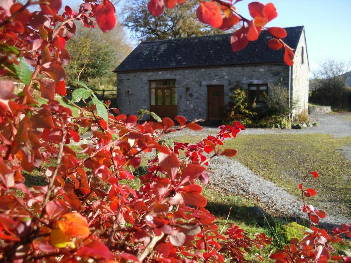 Cae'R Beili Villa Llandovery Exterior foto